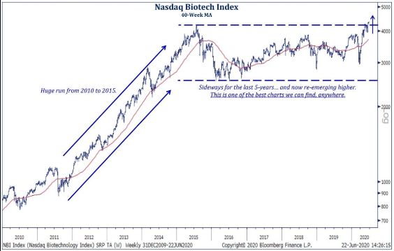 Chart — the pharmaceutical and biotech index consolidating for 5 years, near new all-time highs